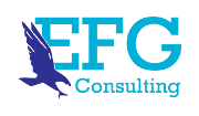 EFG Consulting